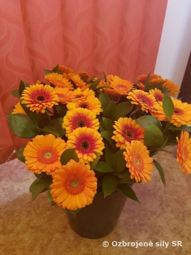 Úcta k ženám – MDŽ v ZaVaMD Martin