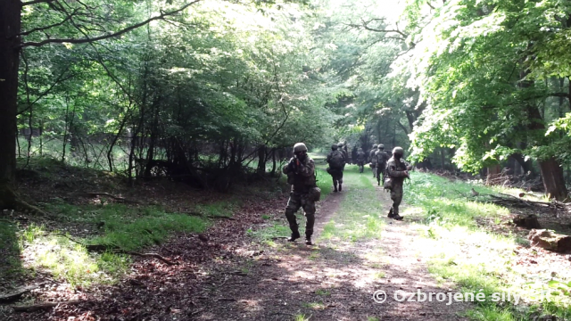 Sústredený výcvik roty poľných služieb a roty evakuácie