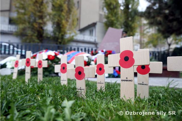 Medzinárodný deň vojnových veteránov