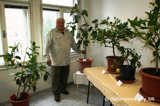 Deň kultúry na Posádkovom klube Bratislava