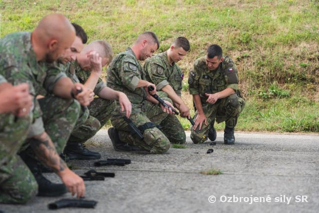 Spoločný komplexný poľný výcvik v ČR