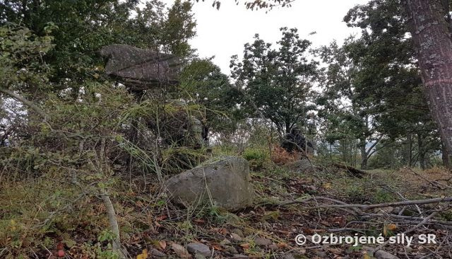 Účelové zoskupenie práporu ISTAR súčasťou cvičenia COMBINED EFFORT 2021