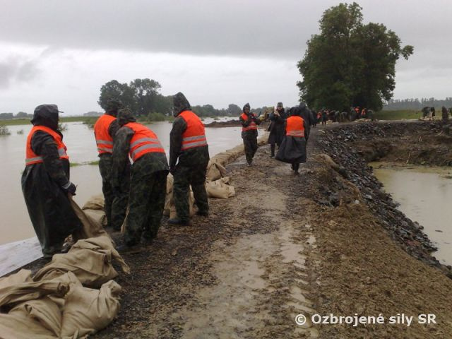 Opätovný zásah profesionálnych vojakov v rizikových oblastiach