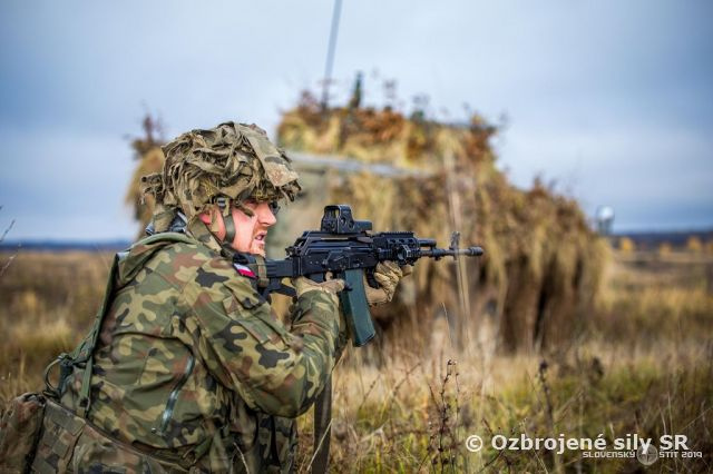 Cvičenie Slovenský štít 2019 