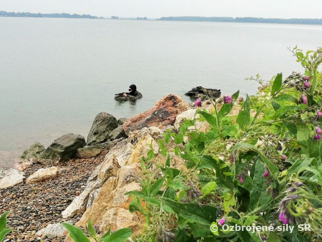 Výcvik potápačov ženijného práporu s kolegami z 5. pŠU