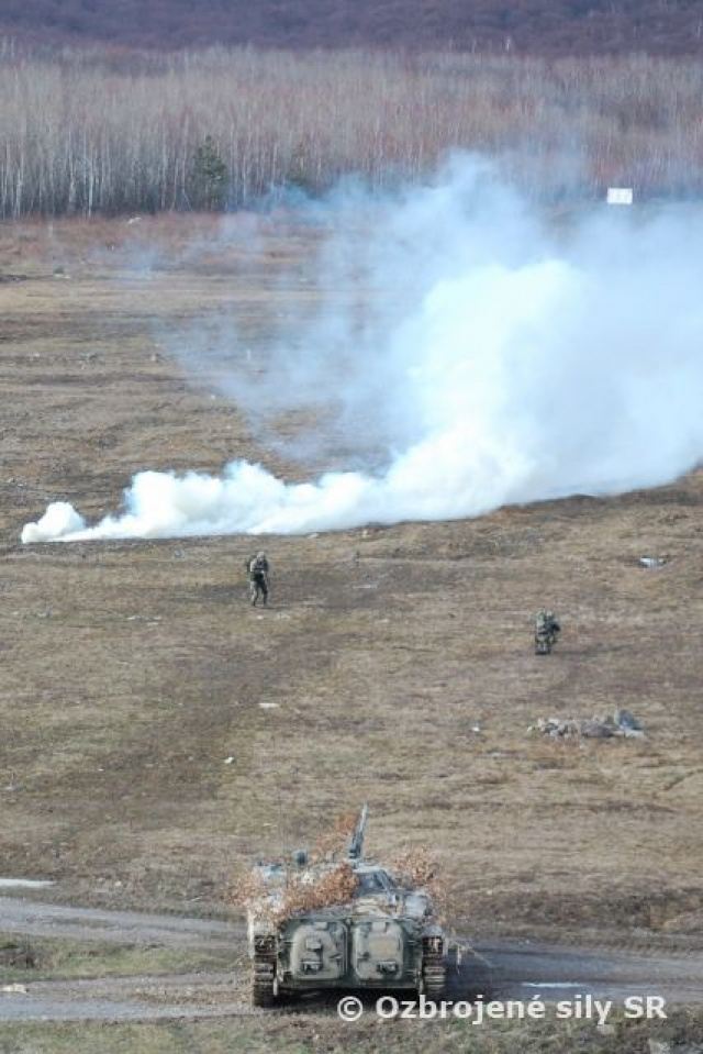 Bojové jednotky práporovej skupiny ukončili ďalšiu etapy prípravy