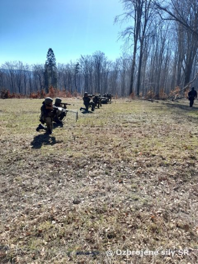 96 hodinový výcvik jednotky 22. mechanizovaného práporu