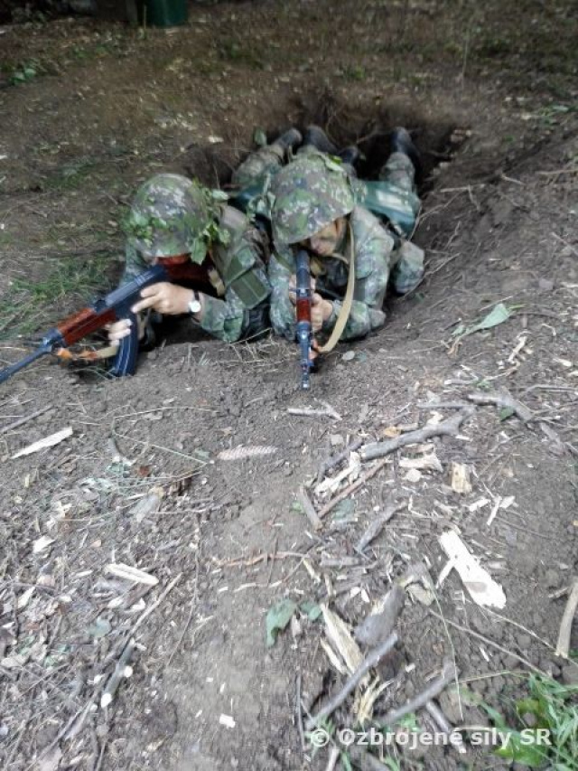 Vrcholí základný výcvik v dobrovoľnej vojenskej prípravy