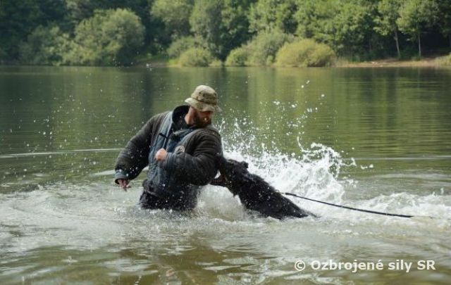 Medzinárodný kooperačný výcvik psovodov a služobných psov Krpáčovo  2018
