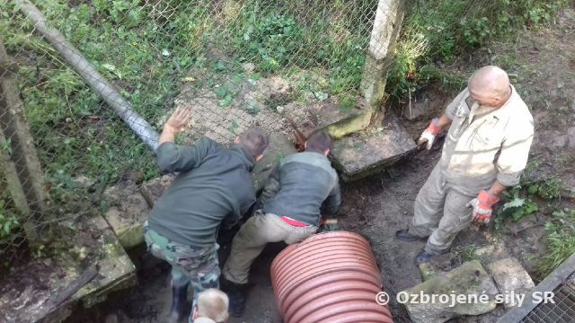 Práce na sezónnej údržbe v MS Nováky a v MS Sklené