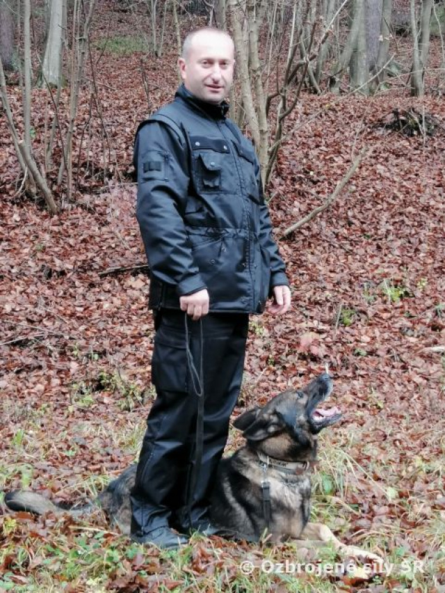 Ročné previerky kynológie