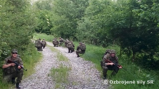 Zdokonaľovacia príprava profesionálnych vojakov