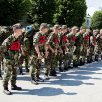 Výber k pluku - aktualizované - predčasné ukončenie výberu 01