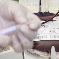 05 Gabčíkova kvapka krvi