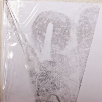 03 Seminár SOF v nemeckom Štuttgarte