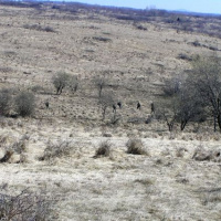 Velenie budúceho slovenského kontingentu ISAF cvičilo prežitie