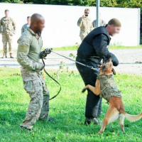 06 Medzinárodné cvičenie SOF Night Hawk 2011 ukončené