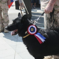 Minister obrany SR ocenil vojakov z Afganistanu