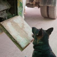 Pracovná návšteva z veliteľstva ISAF