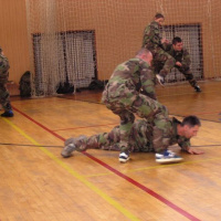 Veliteľské zhromaždenie veliteľa práporu rchbo