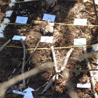 Bojové streľby čiat 22. mechanizovaného práporu