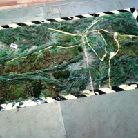 Odstreľovači sa v sústredenej príprave zamerali na všetky detaily