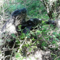 Odstreľovači sa v sústredenej príprave zamerali na všetky detaily