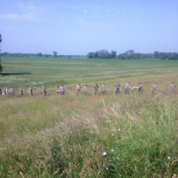 Vojaci pomáhali v Komárne celú noc, presunuli sa do Štúrova