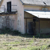 Športový deň pre detské domovy