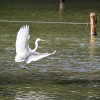 Vyvrcholenie cvičenia Blonde Avalanche 2013