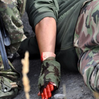 V cvičení „Spoločná Výzva 2013 – Common Challenge 2013“ sa pokračuje