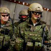 005 Cvičenie COBRA 2013 ukončené