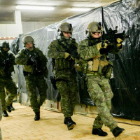 006 Cvičenie COBRA 2013 ukončené