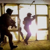 012 Cvičenie COBRA 2013 ukončené