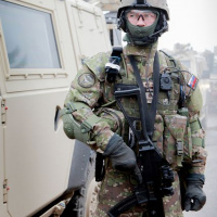 030 Cvičenie COBRA 2013 ukončené