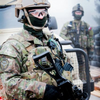 032 Cvičenie COBRA 2013 ukončené