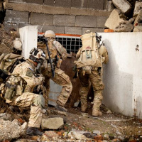 035 Cvičenie COBRA 2013 ukončené