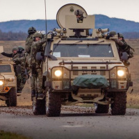 047 Cvičenie COBRA 2013 ukončené