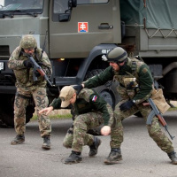 049 Cvičenie COBRA 2013 ukončené