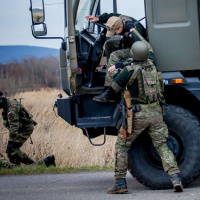 060 Cvičenie COBRA 2013 ukončené