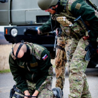 062 Cvičenie COBRA 2013 ukončené