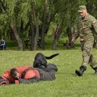 Mladí záchranári si zmerali sily v Komárne