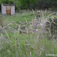 Jednotka špeciálnych síl Dánskeho kráľovstva cvičí v týchto dňoch na Lešti